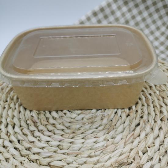 Plastic-free bamboo pulp rectangular bowl